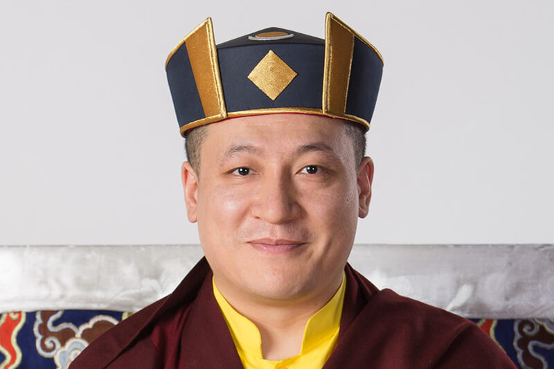 Thaye Dorje, Seine Heiligkeit der 17. Karmapa
